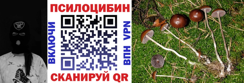 Галлюциногенные грибы MAGIC MUSHROOMS  Купить  Лиски 